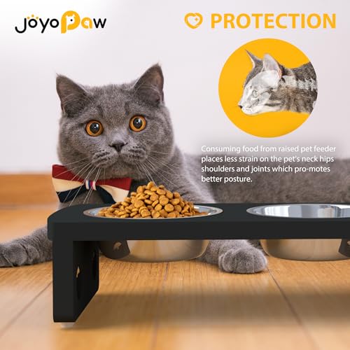 Elevated Dog Bowls (Black / Small: 4'' Tall-20 oz Bowl)