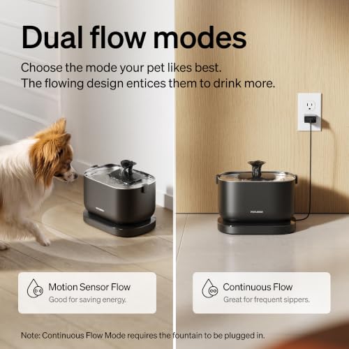 Small Dog Water Fountain (Black / 2.5 L)