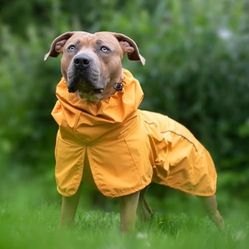 Dog Raincoat Waterproof Rain Jacket w (01 - Mustard Yellow / Large)