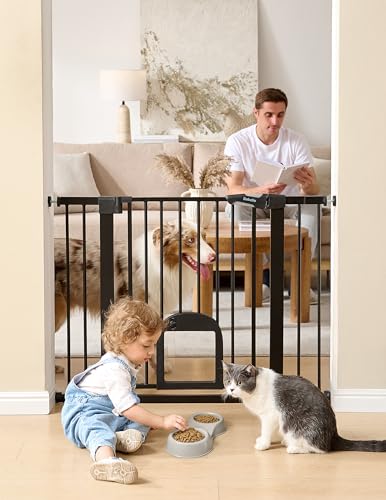Dog Gate with Adjustable Cat Door (Black / 29-43" Wide, 30" Tall)