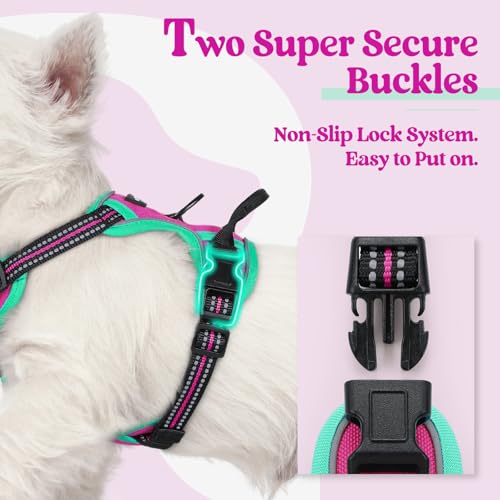 Dog Harness No Pull for Small Dogs with 2 Leash Clips (X-Small / Hot Pink & Turquoise)
