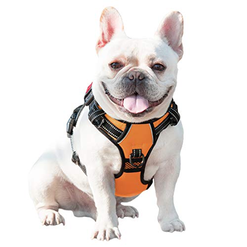 No Pull Dog Harnesses for Small Dogs Reflective Adjustable (Small / Orange)