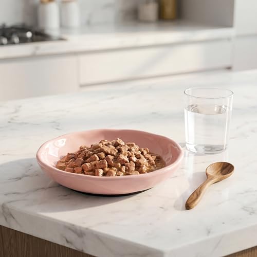 4 Pack Cat Food Bowl