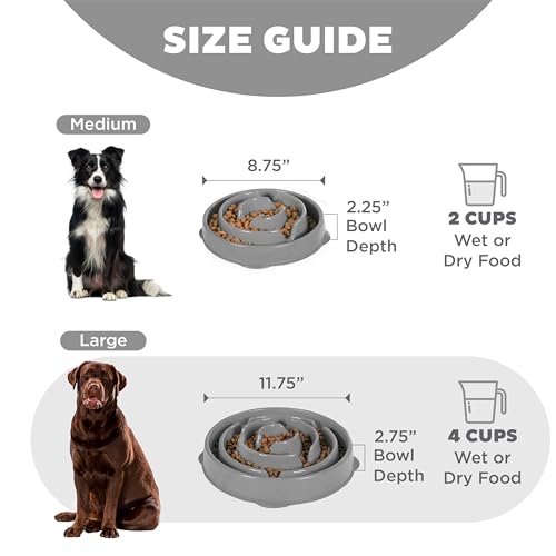 Fun Feeder Slo Bowl Dog Slow Feeder (Gray / Large)