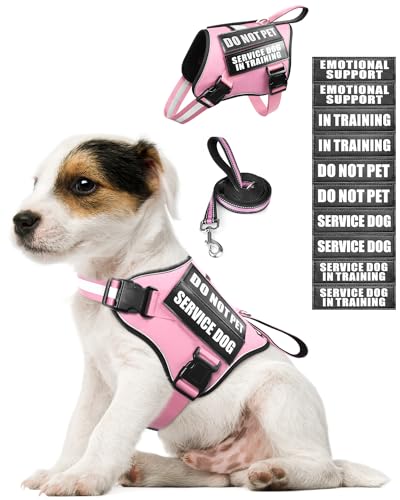 Small Service Dog Vest Harness and Leash Set+10 Patches Pink XS (Extra-Small / Pink)