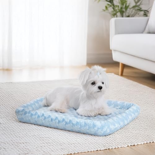 QuietTime Fashion XS Dog Bed (Blue / 22 Inch)