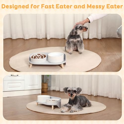Elevated Slow Feeder Dog Bowls with Splash Proof Stand (Medium / White)