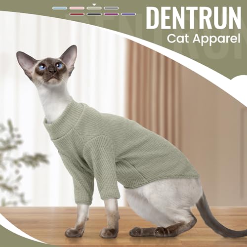 Hairless Cat Shirt (Small / Green)