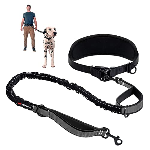 Hands Free Bungee Dog Leash