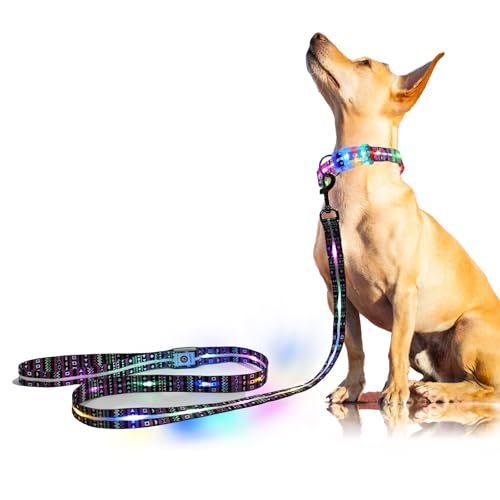 Light up Dog Leash USB Rechargeable for Small Medium Large Dogs (Bohemian purple / L59in/W1in)