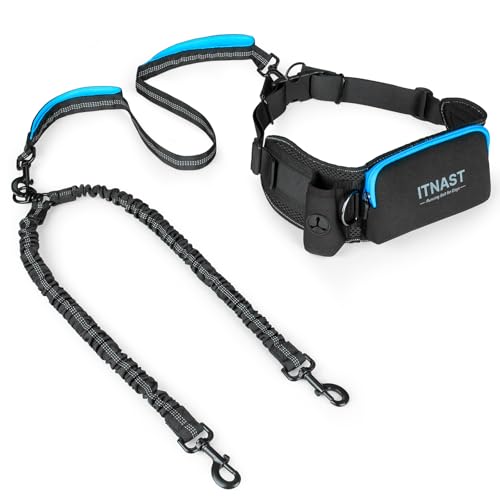 Hands Free Double Dog Leash Tangle Free (for Two Dogs / Black/Blue)