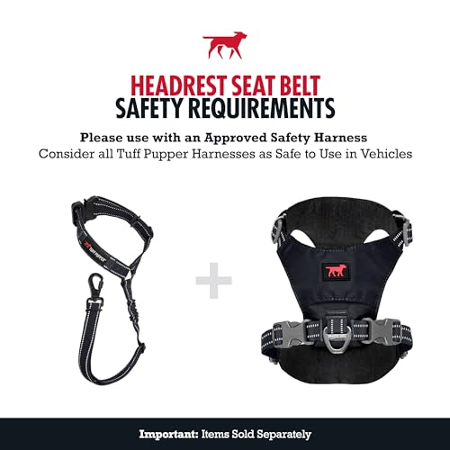 Dog Seat Belt for Car Headrest (Black)