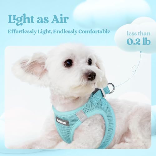Dog Harness Small Sized and Leash Set (Mint Blue / Xxxs (chest: 10.8 - 11.8"))