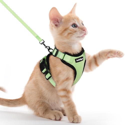 Cat Harness and Leash Set (Xxs / Light Green)