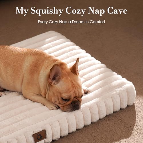 Extra Large Dog Bed Orthopedic Foam with Waterproof Lining (XX-L(47"*29"*4") / Cream)