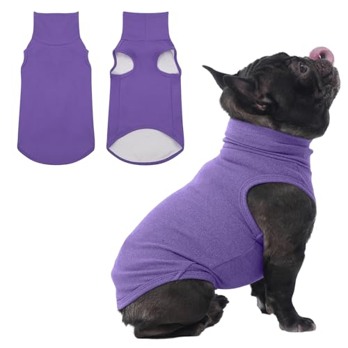 Small Dog Sweater (Medium / Purple)