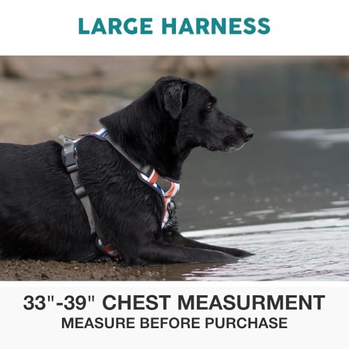 Embark No Pull Dog Harness (L / Santa Monica)
