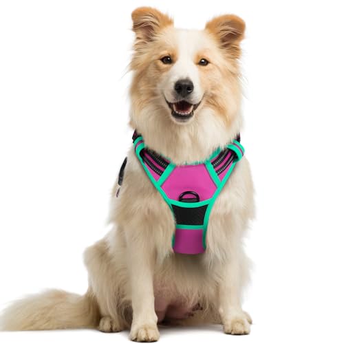 Dog Harness No Pull Medium Sized with 2 Leash Clips (Medium / Hot Pink & Turquoise)