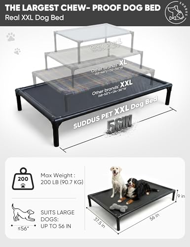 Elevated Dog Bed Waterproof Outdoor (XXL (56"L x 37.5"W x 9"H) / Grey)