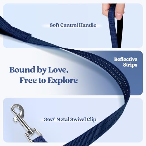 Dog Harness Medium Sized and Leash Set (Blue Zigzag / L (chest: 18.2 - 20.5"))