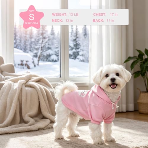 Princess Dog Hoodie (SM (Back: 14",Chest: 19", Neck: 16") / Pink(Prinecss))