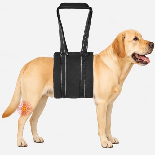 Adjustable Dog Sling for Large Dogs (X-Large)