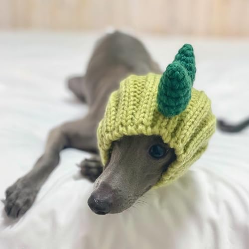 Dinosaur Costume (Small)