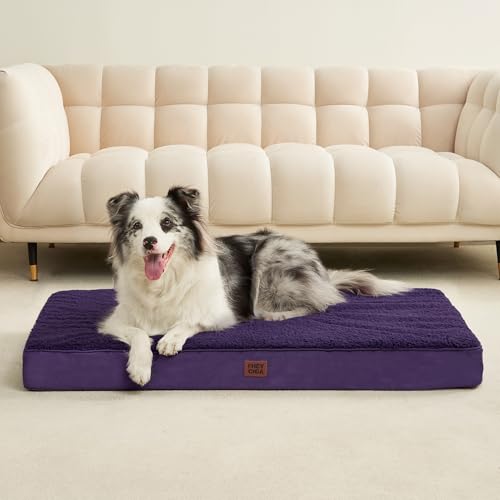 Orthopedic Dog Bed Extra Large with Removable Washable Cover (50*36*4 inches / Purple)