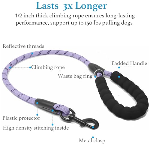 Double Dog Leash (Lavender / Medium)
