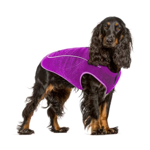 Insulated Fleece Sweater for Dogs (Medium / Purple)
