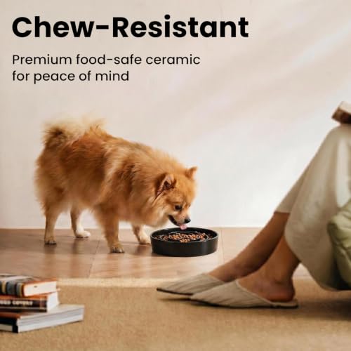 Ceramic Slow Feeder Dog Bowls 0.6 Cups for Small Fast Eaters (Black / S - 0.6 Cups)