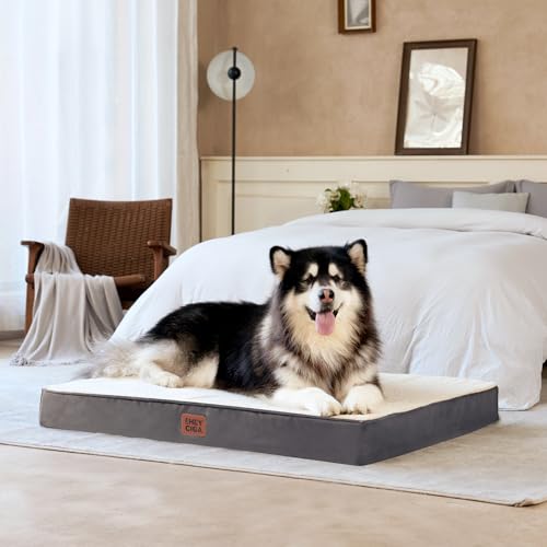 Orthopedic Dog Bed Large with Removable Washable Cover (44*32*3.5 inches / Beige)
