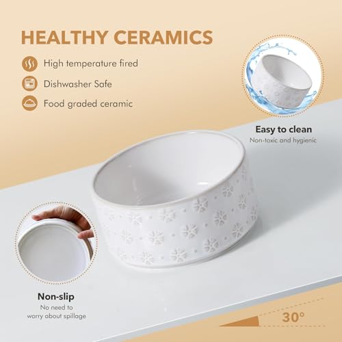Elevated Dog Bowls (Double Bowls with Stand- Arctic White / 7.6CUPS)