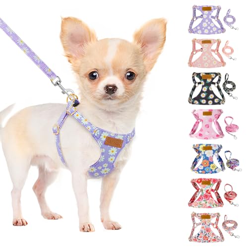 No Pull Dog Harness with Leash for Small Medium Dogs (Medium(18-31lb) / Purple Daisy)