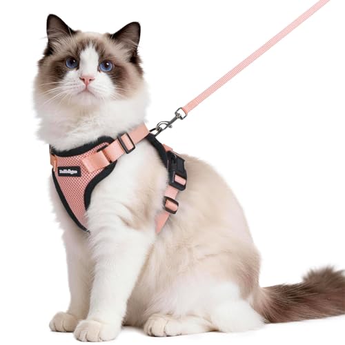 Cat Harness and Leash Set (M / Light Salmon Pink)