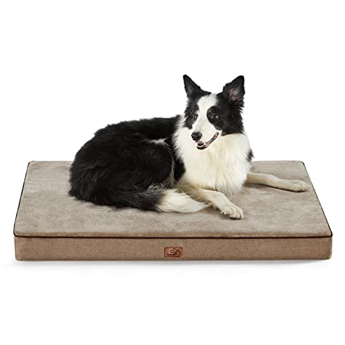 Memory Foam Dog Beds Large Sized Dog (35"L x 22"W x 3"Th / Khaki)