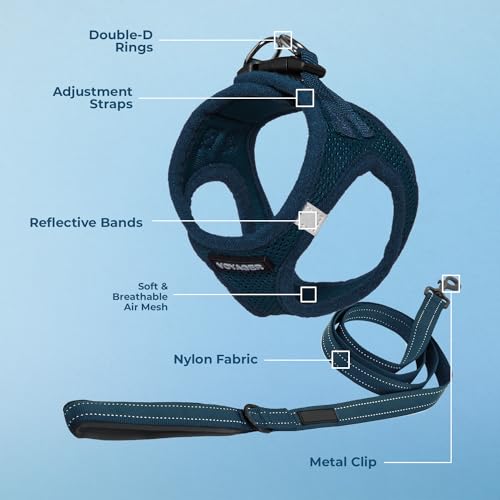 Voyager Step in Air All Weather Mesh Harness and Reflective Dog 5ft Leash Combo with Neoprene Handle (Harness Leash Set (Blue) / S (Chest: 14.5 - 16"))