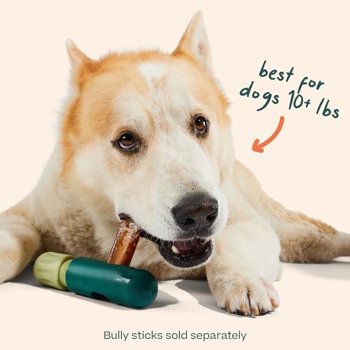 BullySafe Bully Stick Holder for Dogs (.4 LB)