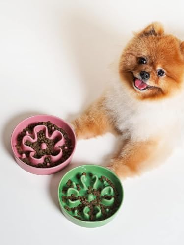 Dog Bowls Slow Feeder Ceramic (Pink+Green(2 Pieces) / M-1.5 Cups)