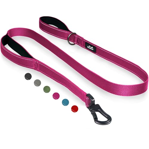 4FT 1IN Heavy Duty Dog Leash for Large Dogs with 2 Padded Handles (Rose / 1 in x 4 ft)