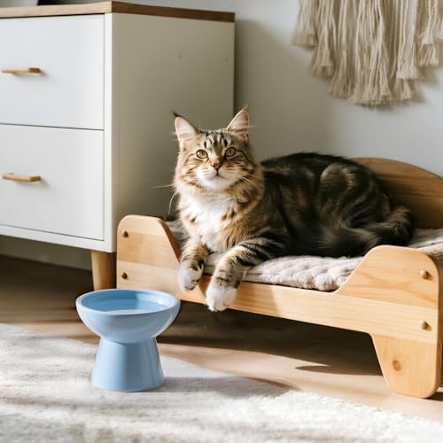 Extra Wide Elevated Ceramic 6.2" Deeper Cat Water Bowl (Blue-Deeper)