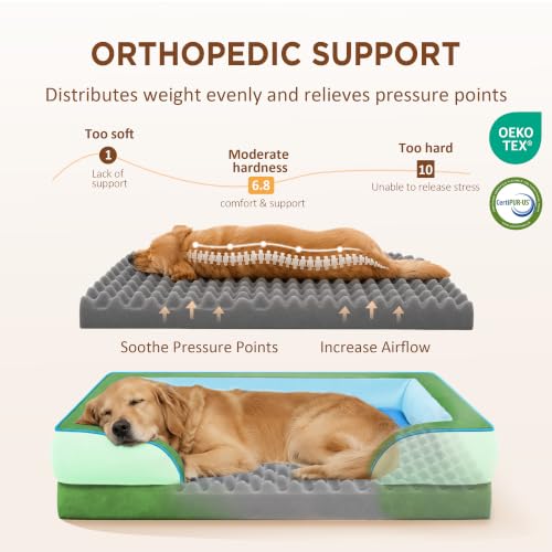 Orthopedic Dog Bed for Extra Large Dogs with Bolster (42.0"L x 30.0"W x 8.5"Th / Boston)