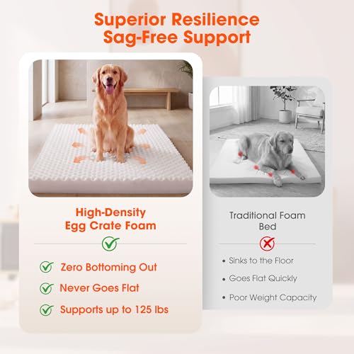 Waterproof Orthopedic Dog Bed for Extra Large Dogs with Bolster (Grey / XXL Wide (48"x35" - 3.5" Thick))