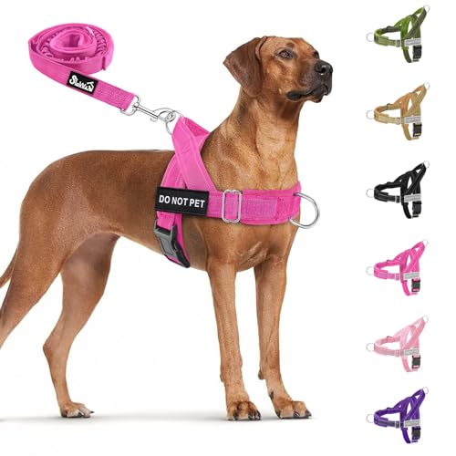 No Pull Dog Harness and Leash Set (Fuchsia / Large)