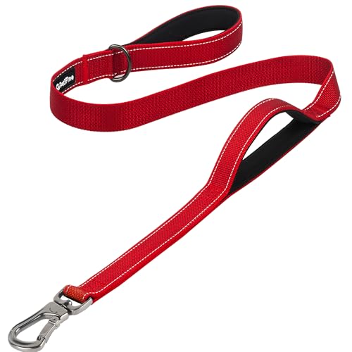 4FT Heavy Duty Dog Leash with Soft Padded Double Handle (4 FT x 1 in Wide / Red)