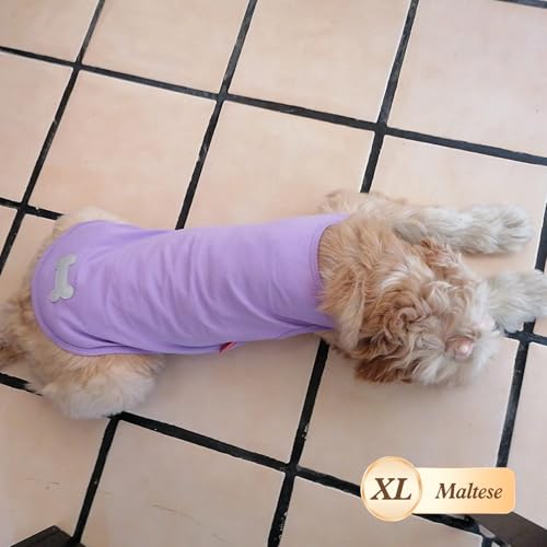 2Pack Cotton Dog Shirt for Small Medium Dogs Soft Striped Tank Top (X-Large (18-30lbs) / 05# 2Pack (Green+Striped))