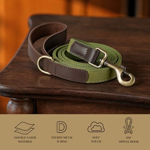 PU Leather Dog Leash for Medium Dogs (Olive Green / 3/4''x 5FT)