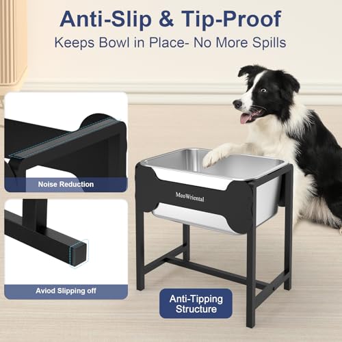 2.5 Gallon Elevated Dog Water Bowl for Large Breeds (14.2in Height)