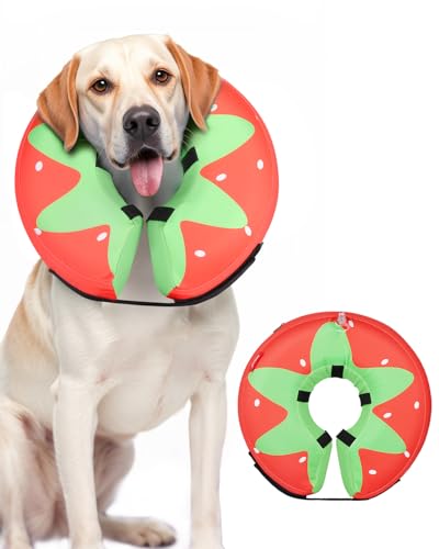 Inflatable Dog Cone (Tomato / XL(21"-24"))