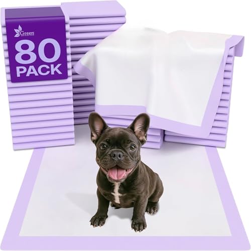 Pee Pads Super Absorbent & Leak (Purple / 80 Pack - 22x22)